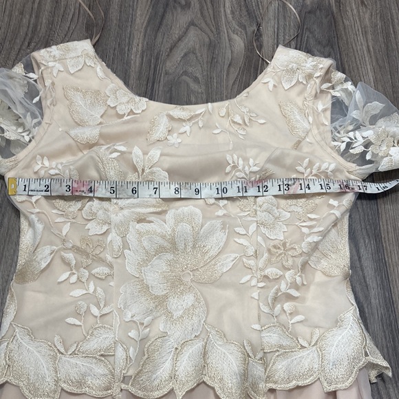 Alex Evenings Illusion Sleeve Embroidered Midi Dress in Taupe Size 4 - Picture 5 of 9